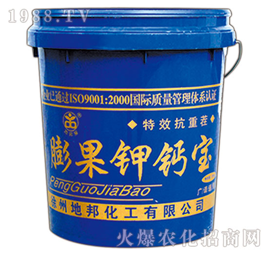 �����}��-�ذ�Ȫ