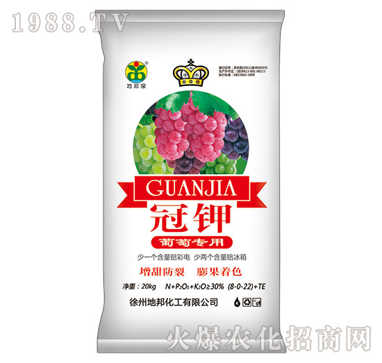 ���ь���-���-�ذ�Ȫ