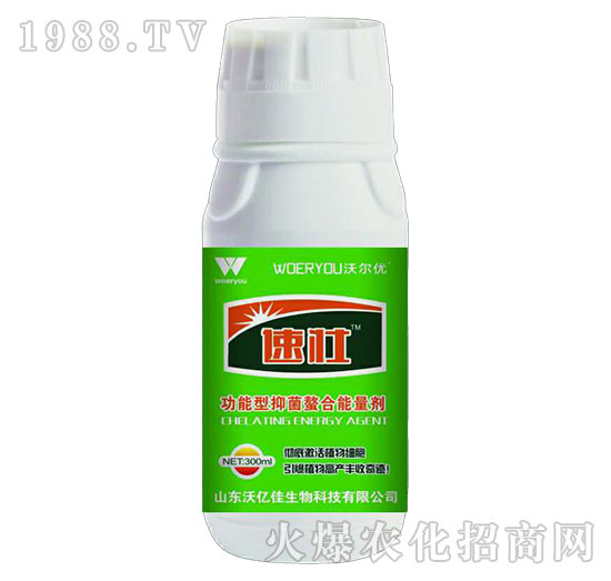 �ى�-�֠���(y��u)