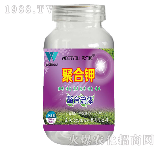 �ۺ��-�֠���(y��u)