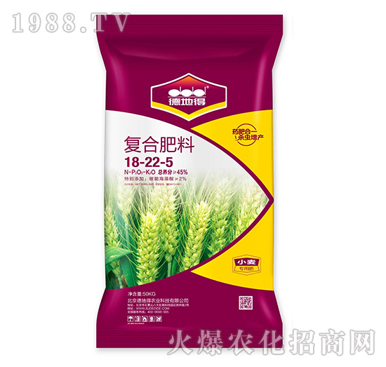 С������ˎ��-�µص�