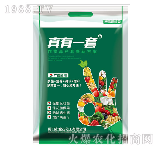 ����һ��-��ʯ