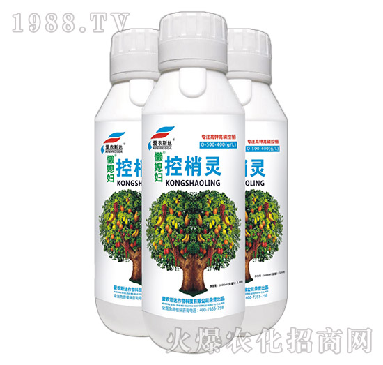 ��⛸��׿����`-��ϱ�D-���r(n��ng)˹�_(d��)