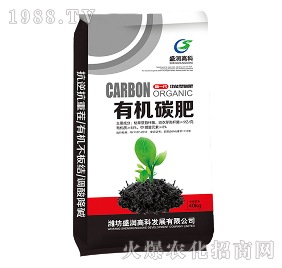 �ЙC(j��)̼��-ʢ��(r��n)�߿�