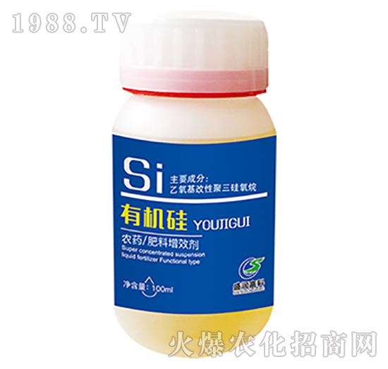 �ЙC��-ʢ���߿�