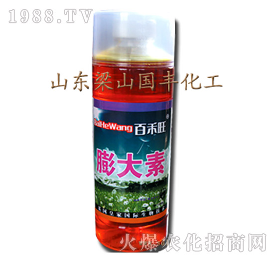 ����أ�ƿ��-��ɽ��(gu��)�S