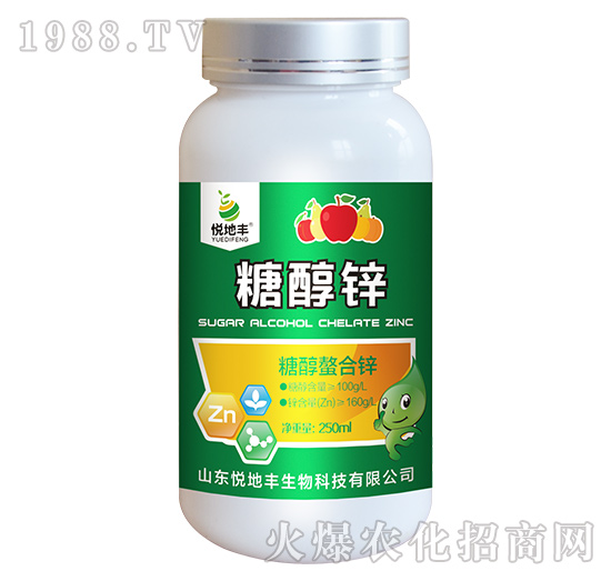 �Ǵ������\-�Ǵ��\-�����S