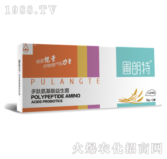 С������-���İ�����������-������