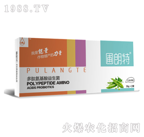 �������-���İ�����������-������