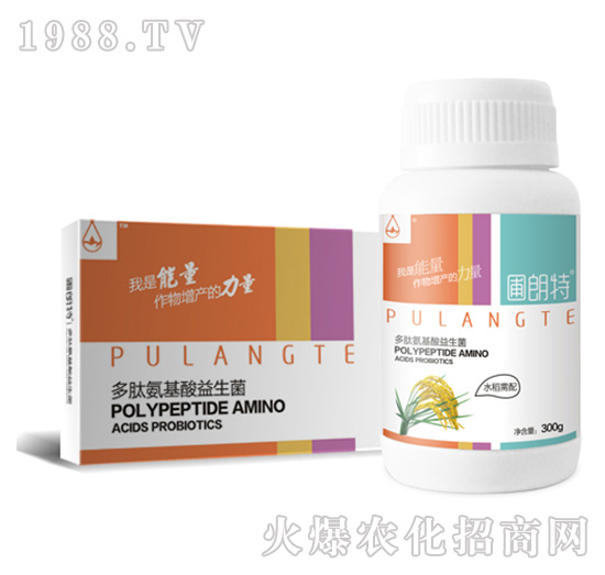 ˮ������-���İ�����������-������