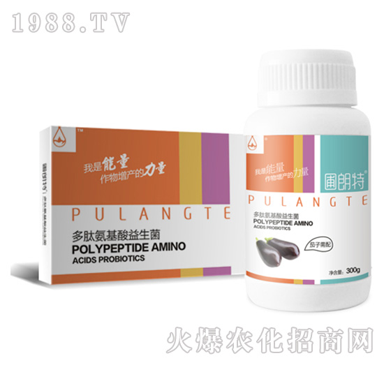 ��������-���İ�����������-������