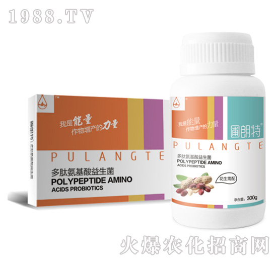 花生需配-多肽氨基酸益生菌-圃朗特