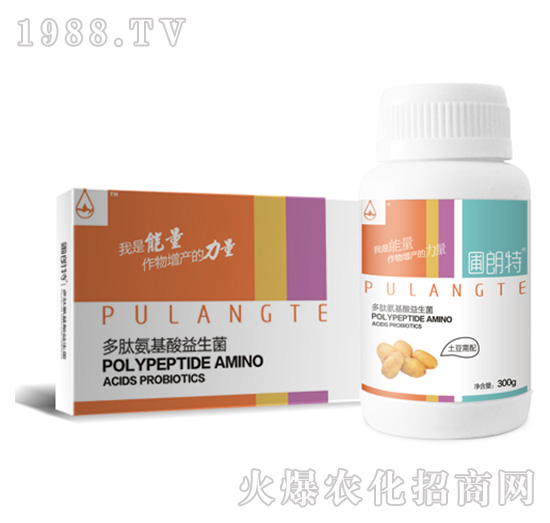 ��������-���İ�����������-������