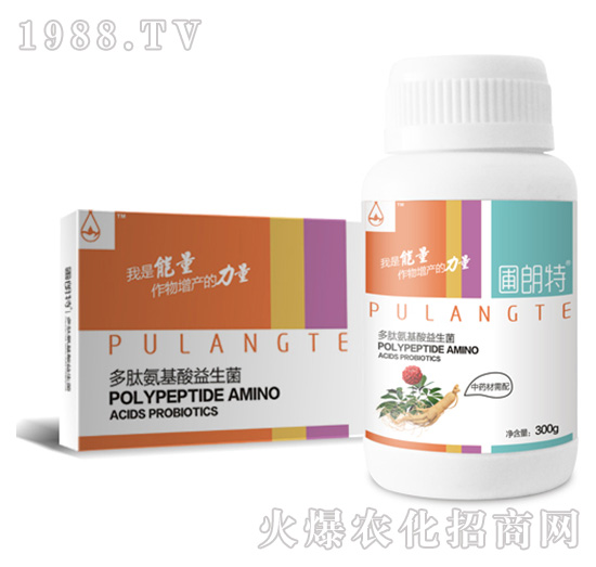 ��ˎ��ͨ��-���İ�����������-������