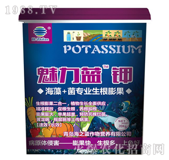 魅力藍鉀-海之藍