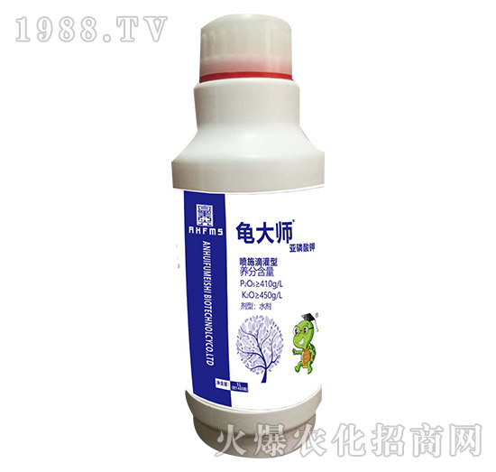 �������-����-������