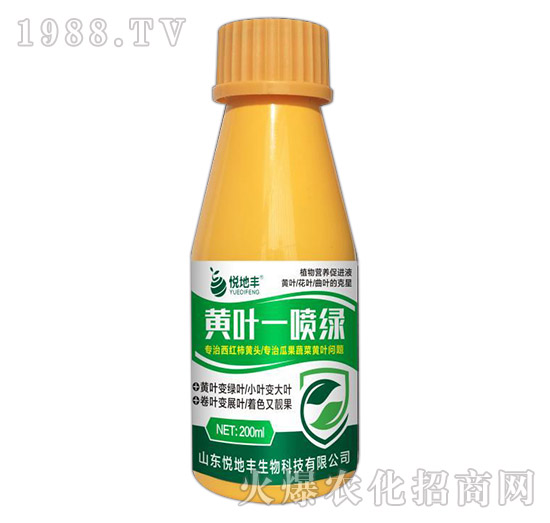 �S�~һ���G-�����S