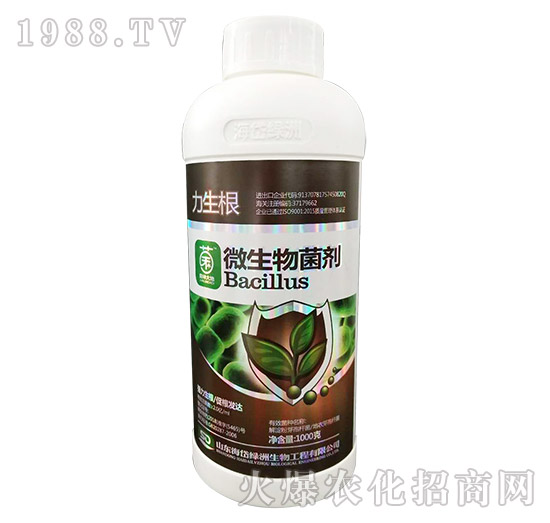 ΢�������-������-��᷾G��