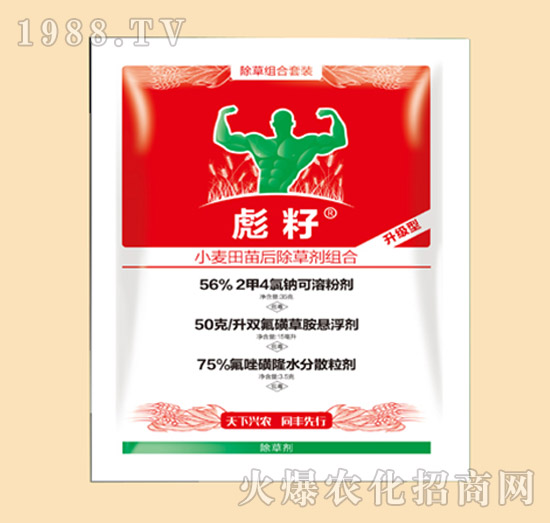 小麥田苗后除草劑組合-彪籽-同豐