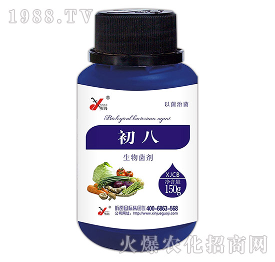 �������-����-꿾�