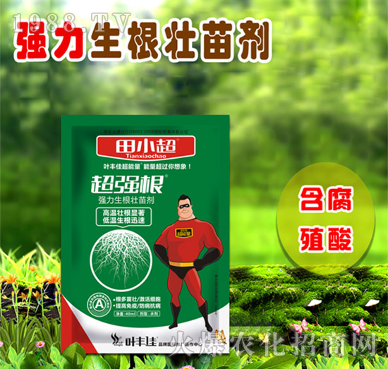 �����������焩-������-��С��