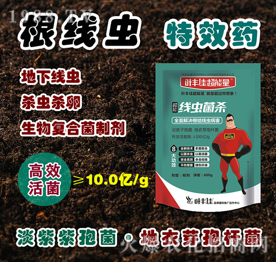 ���x����-�~�S�ѳ�����