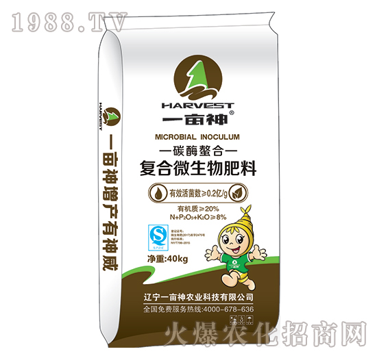 ̼ø���Ϗͺ�΢�������-һ����