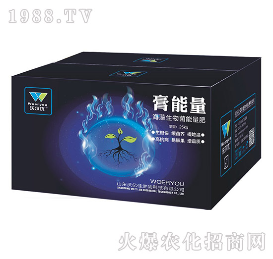 ���������������-������-�֠���(y��u)