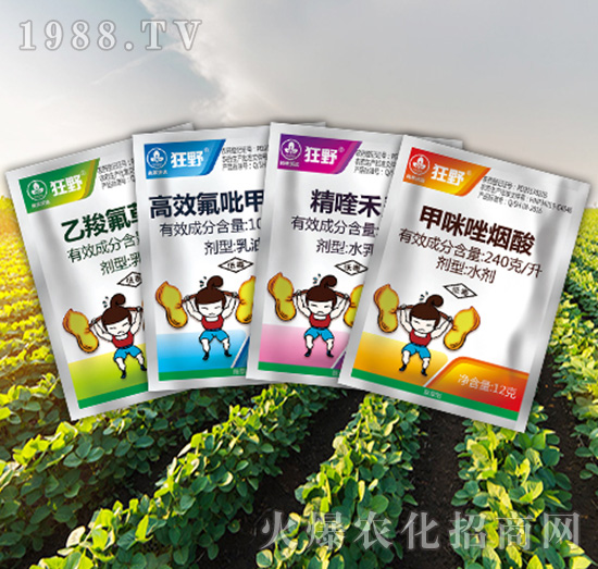 狂野組合-尚禾沃達