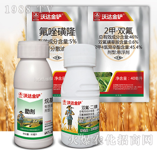 ���_���P�M��-�к����_