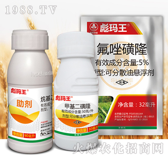 �묔���M��-�к����_(d��)