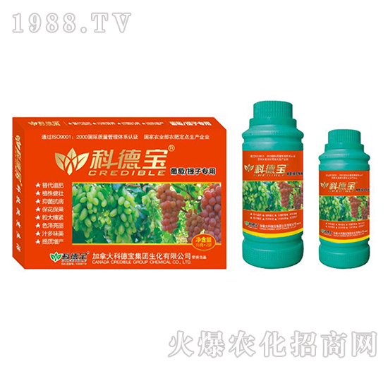 ���������ӌ��àI�B(y��ng)���a(ch��n)�{(di��o)�턩-�Ƶ�