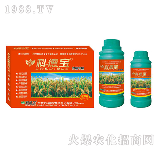 ˮ�����àI�B(y��ng)���a(ch��n)�{(di��o)�턩-�Ƶ�