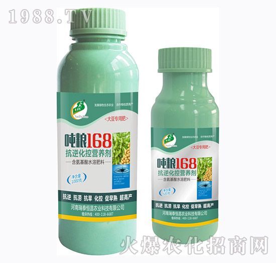 �D�Z168��-��̩���