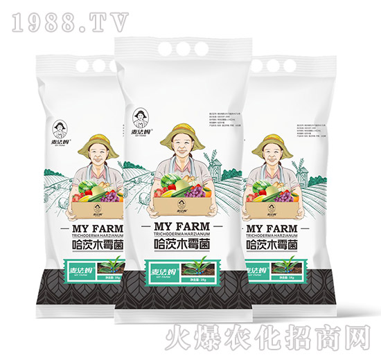 ����ľù��-��������