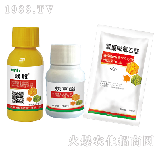 44%2�ס��p����+15%Ȳ����+�ȷ���������-���˰ل�