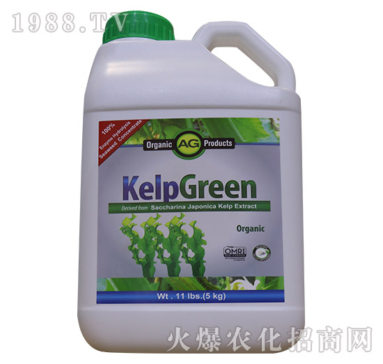 ø�⺣���-���º���