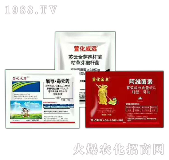 ����ҹ���(l��i)���x(ch��ng)�Ě��焩-���һ��-�滯���h(yu��n)