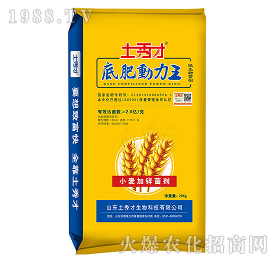 С�����\����-�׷ʄ�����-�����