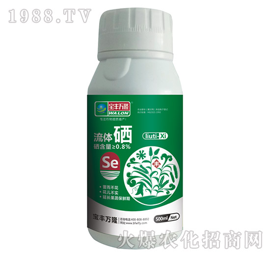 ���w��-���S�f¡