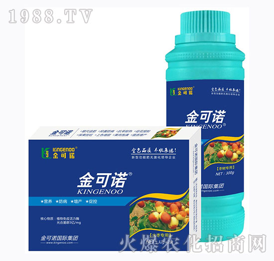 �󗗌���-����Z