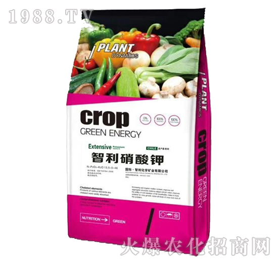 ���������-��̩��