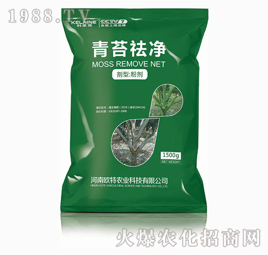 ��̦���-���R��-�W���r�I(y��)