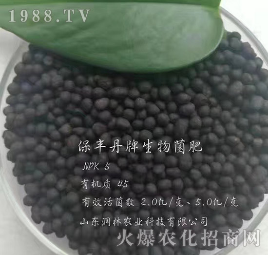 �������-���S��-�����r�I(y��)