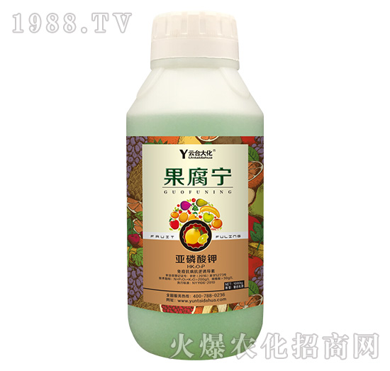 1000g������-���_(t��i)��