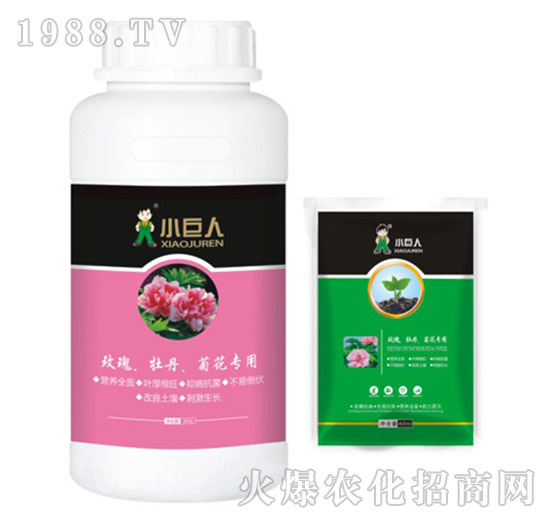 õ����ĵ�����ջ������{(di��o)��(ji��)��-С����