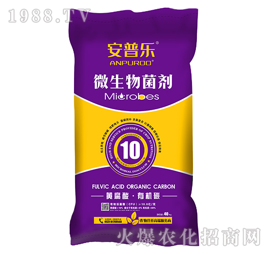 10�|ÿ���S�����ЙC(j��)̼΢�������-���՘�(l��)-�f(w��n)�����B(t��i)