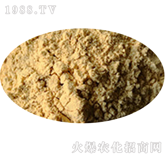 �۹Ȱ���-�ĺ�����