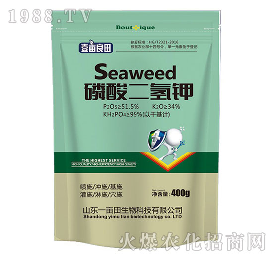 �������⛣�400g��-Ҽ������