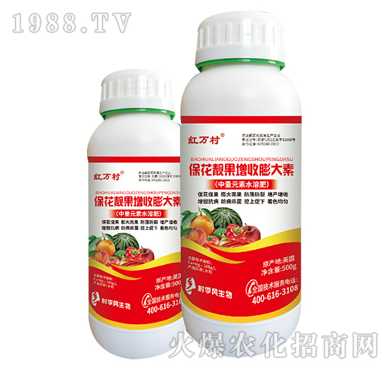 �����n�����������-���˹����r(n��ng)��